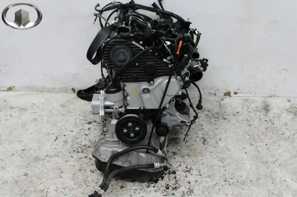 GWM, Cannon Ute Engine Npw Diesel 2.0 Turbo Gw4D20M 09/20