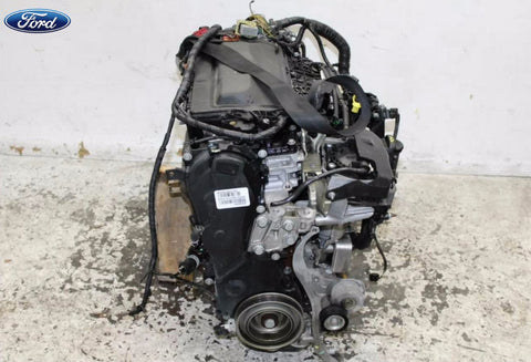 Ford, Focus Engine Diesel, 2.0, Turbo, Lw, 05/11-08/15 J34445