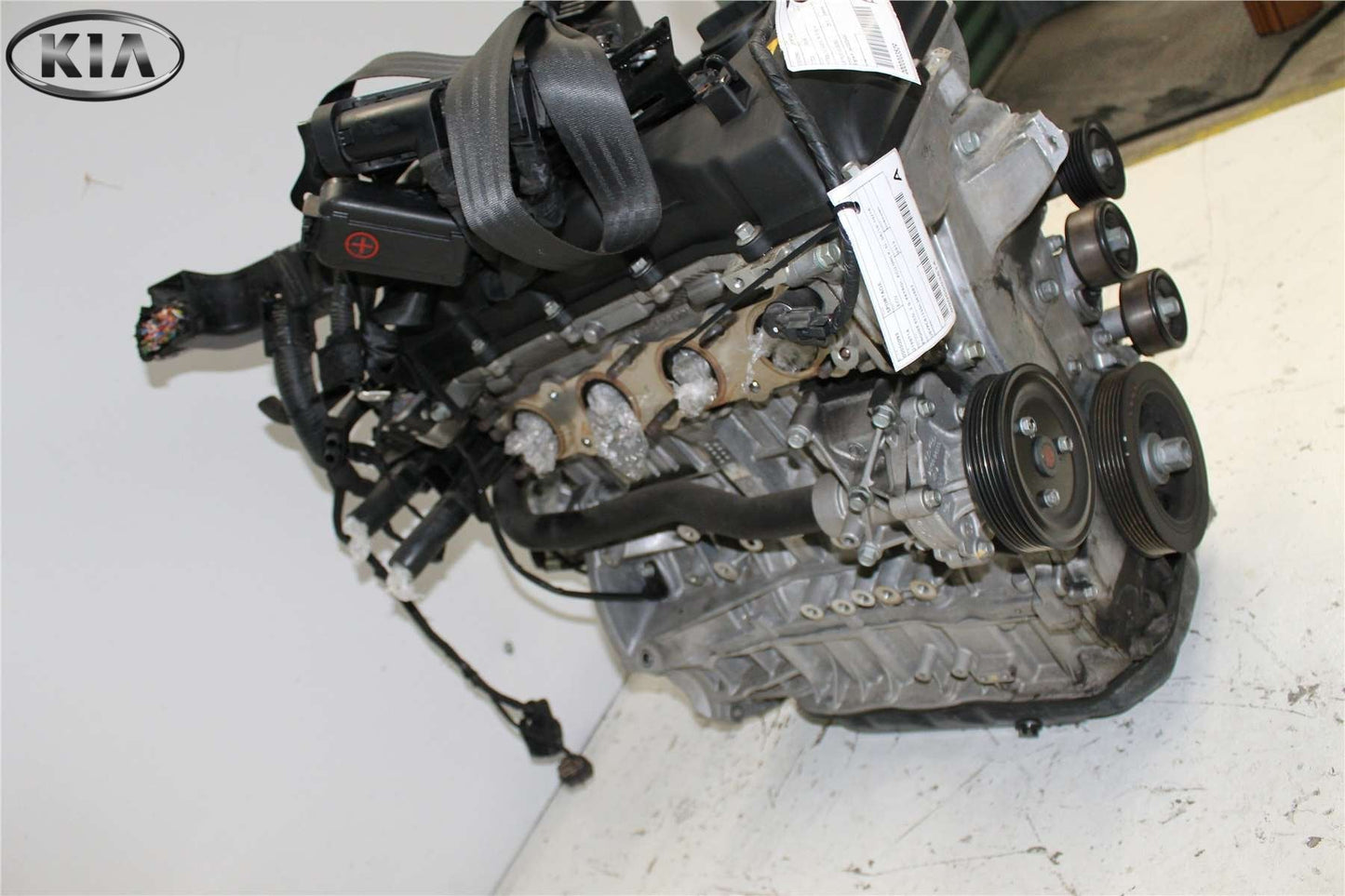 Kia, Sportage Engine Petrol 2.0 G4Kd Sl 04/13 04/14