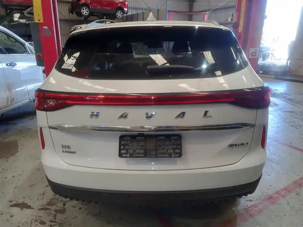 Haval, H6 Antenna B01/B03 02/21