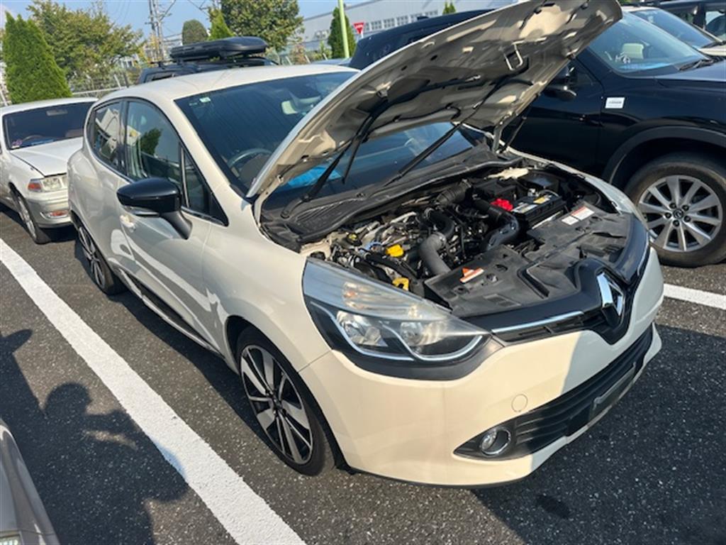 Renault, Clio Left Guard Liner X98 09/13 10/19