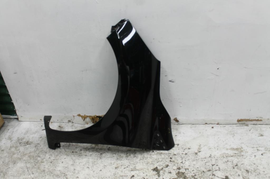 Renault, Clio Left Guard X98 09/13 10/19
