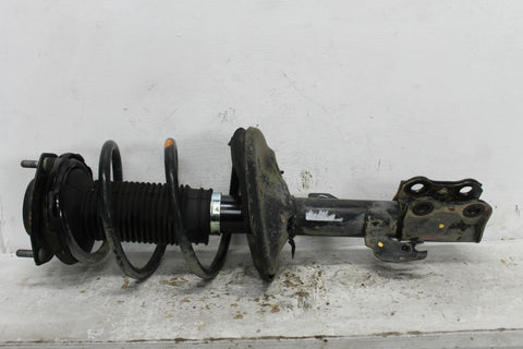 Toyota, Camry Left Front Strut Acv40 2.4, 2Az Fe, 06/06 11/11