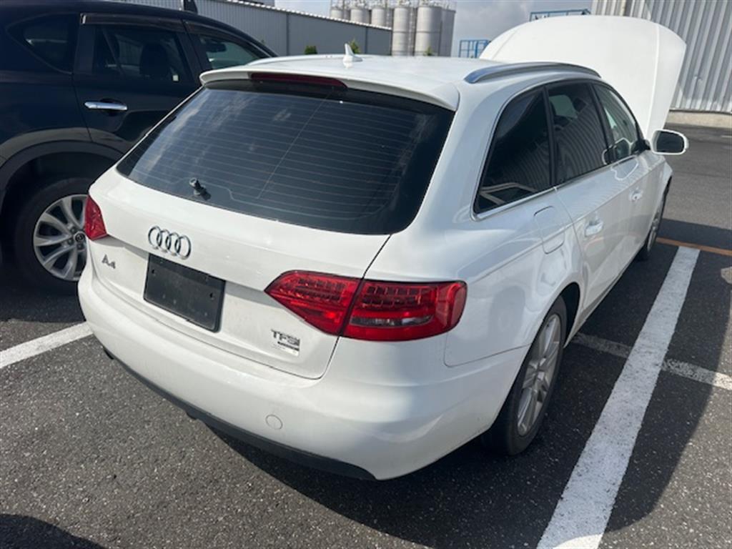 Audi A4 2009 - all parts available - back view