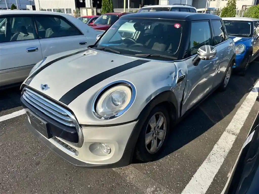 MINI, Cooper Overflow Bottle F55/F56/F57, Petrol, 1.2/1.5/2.0, B38U/B38M/B48M/B48O, B37U, 04/14-06/18 J42344
