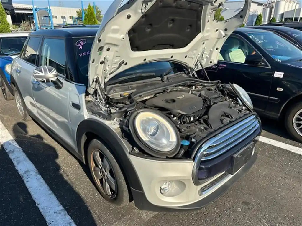 MINI, Cooper Overflow Bottle F55/F56/F57, Petrol, 1.2/1.5/2.0, B38U/B38M/B48M/B48O, B37U, 04/14-06/18 J42344