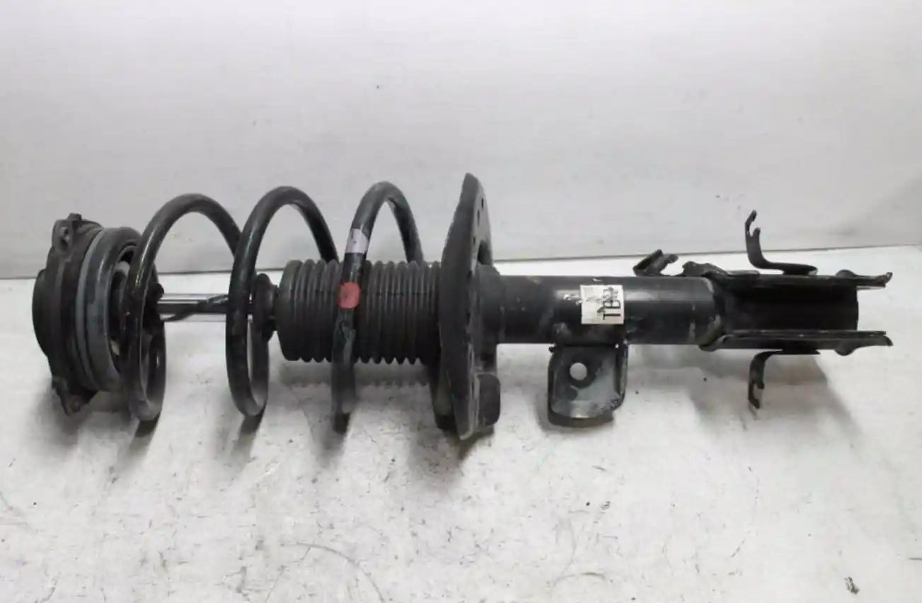 Nissan, Juke Right Front Strut F15, Turbo Type, 06/10-12/19 J1910