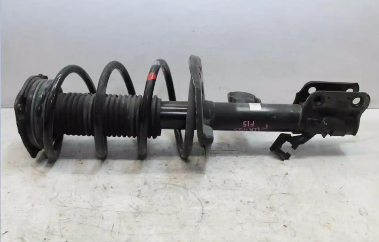 Nissan, Juke Left Front Strut F15, Turbo Type, 06/10-12/19 J1910
