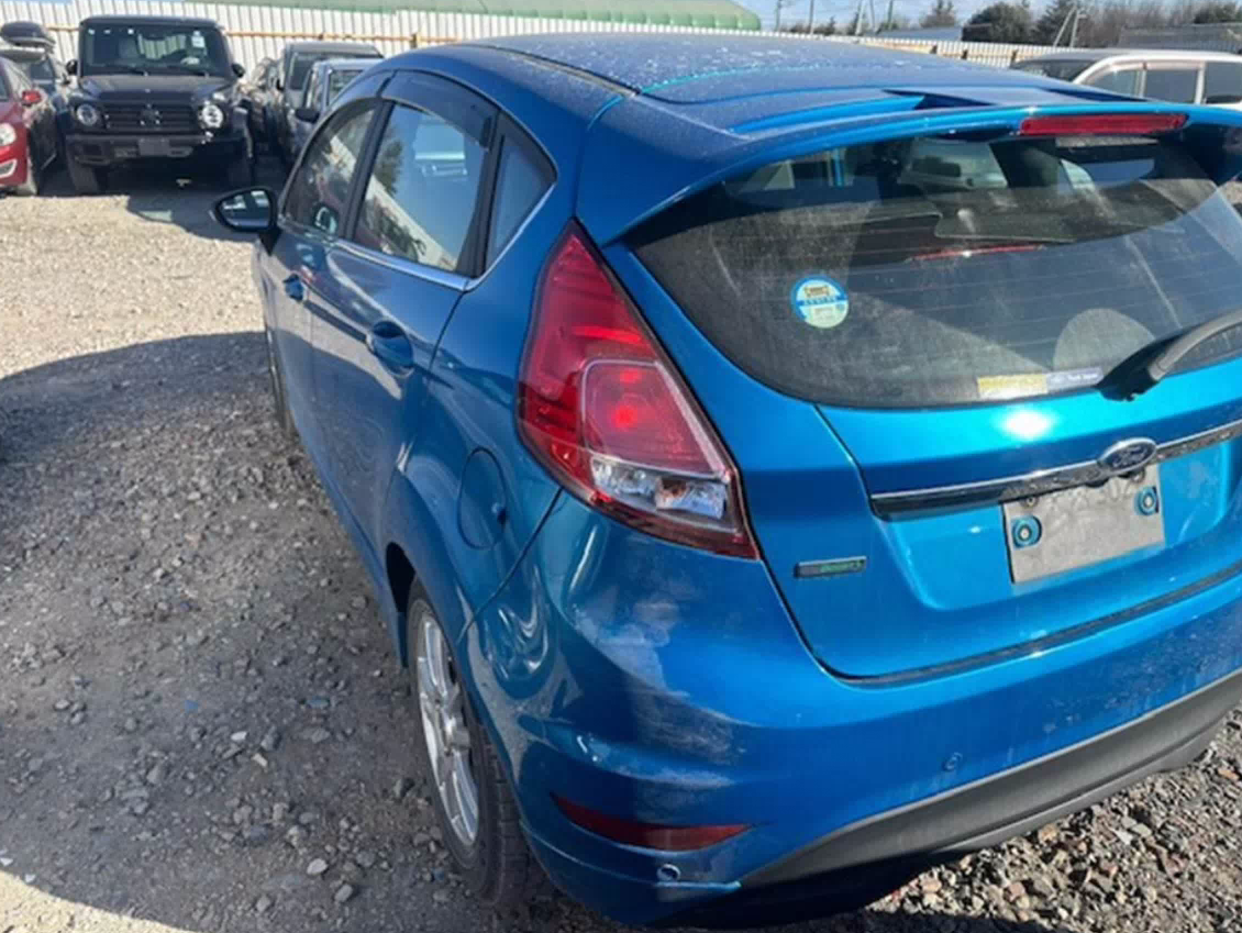 Ford, Fiesta Left Guard Wz, 3Dr Hatch, 05/13-12/19