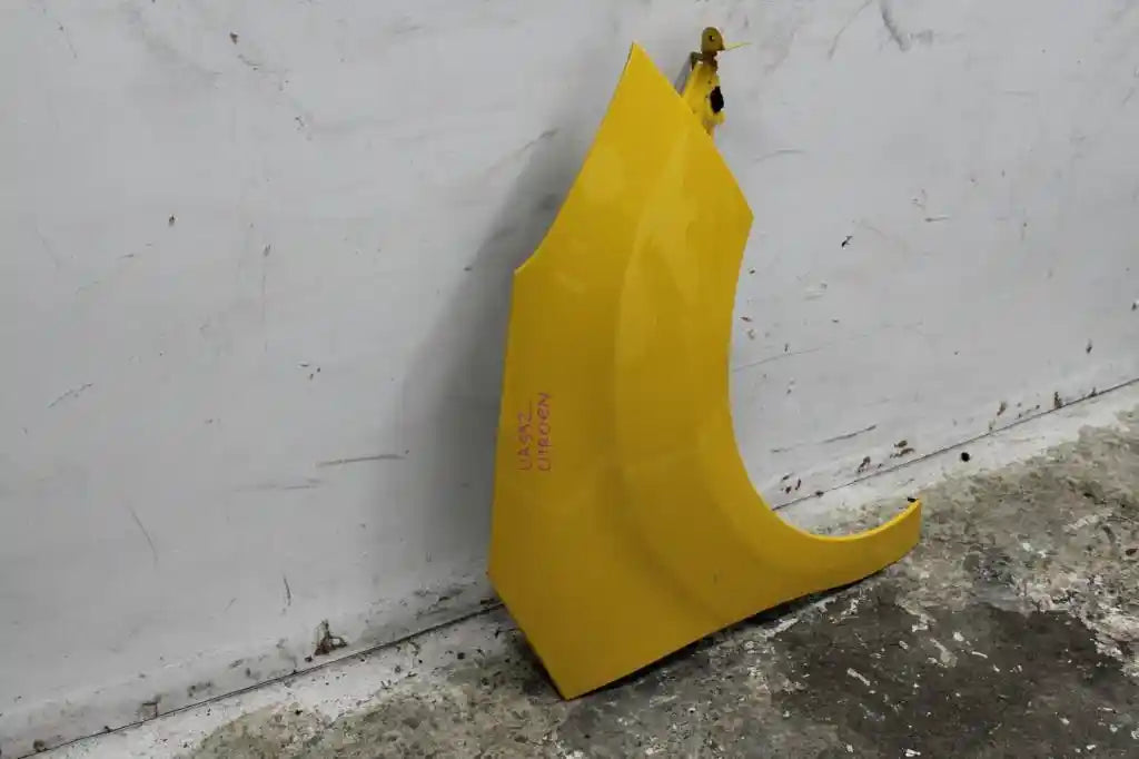 Citroen, DS3 Right Guard 04/10-12/16 J99598