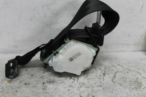 Ford, Focus Seat Belt Rh Rear Seat Belt Only (No Stalk), Hatch, Lz, 10/14 11/18