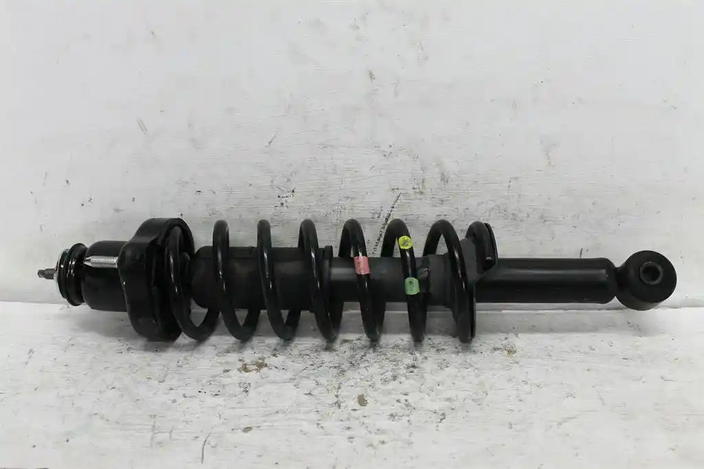 Mitsubishi, ASX Left Rear Strut Petrol 2.0 Xa Xd 05/10