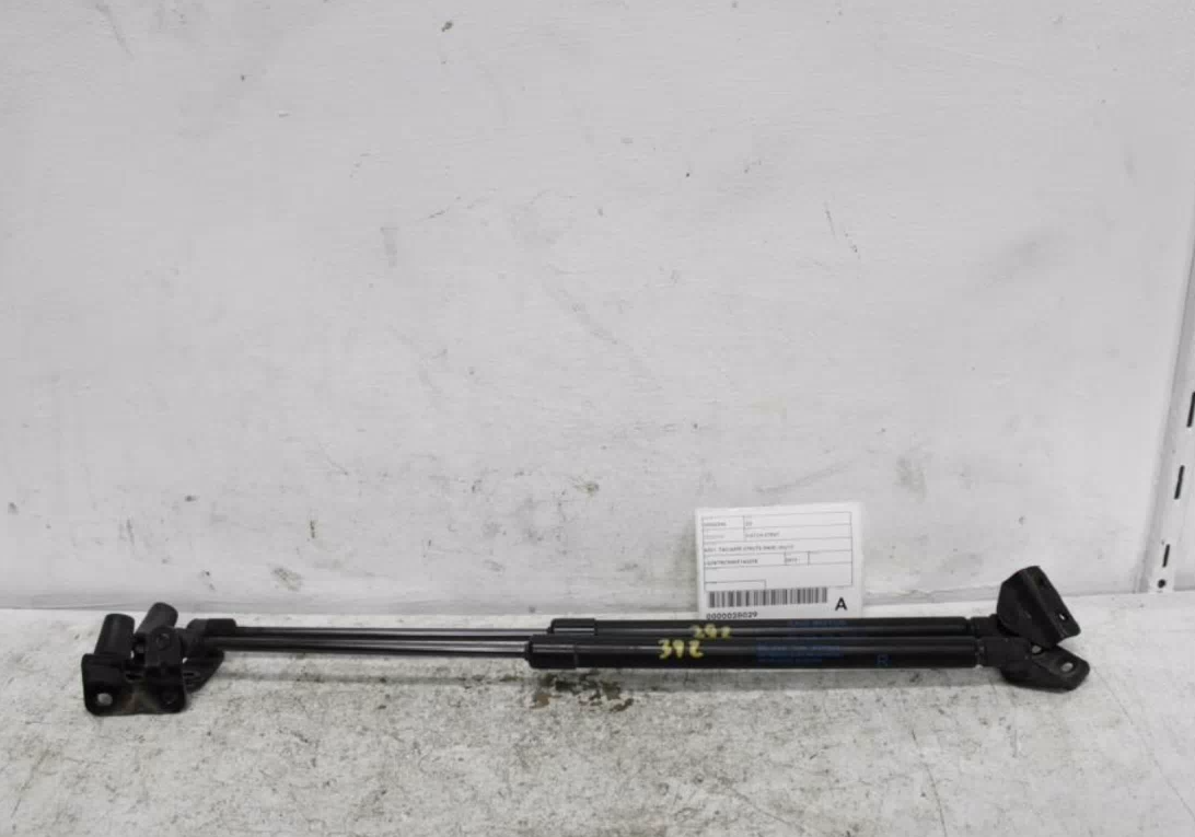 Mg, Zs Hatch Strut Azs1, Tailgate Struts (Pair), 09/17-