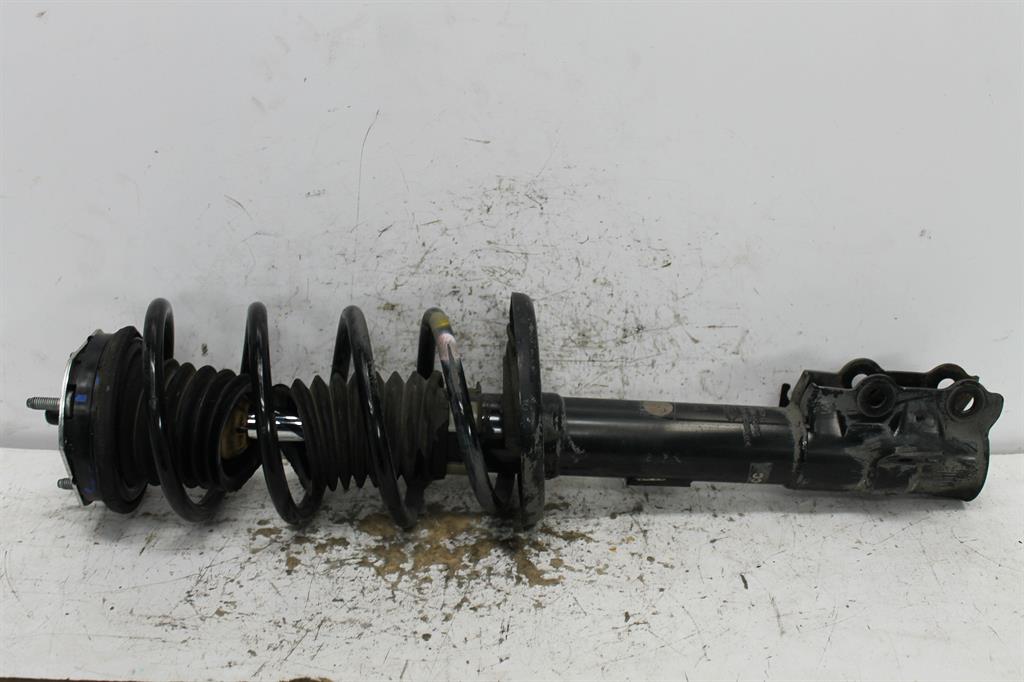 Ford, Ecosport Left Front Strut Bk 11/13 09/17