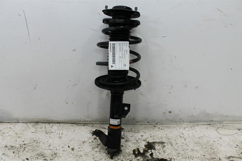 Toyota, Aurion Right Rear Strut Gsv50R Standard Type 06/15 08/17