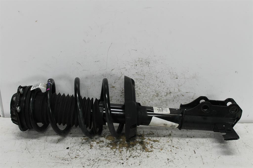 Holden, Equinox Left Front Strut Eq 09/17 12/20