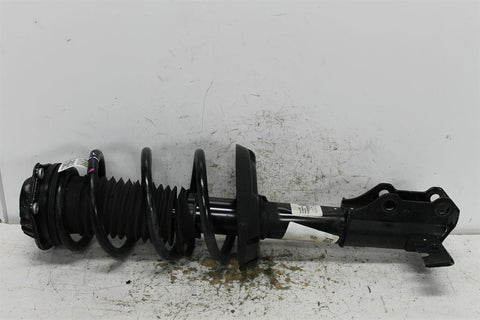 Holden, Equinox Left Front Strut Eq 09/17 12/20