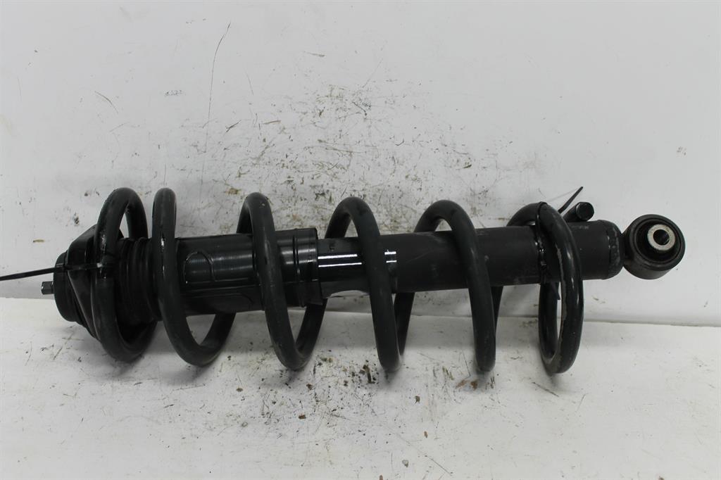 Nissan, Murano Right Rear Strut Z51 12/08 01/15