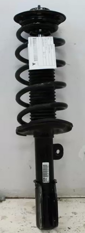 Holden, Captiva Left Front Strut Cg 2Wd Type 01/11 06/18